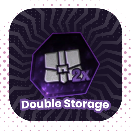 Double Storage