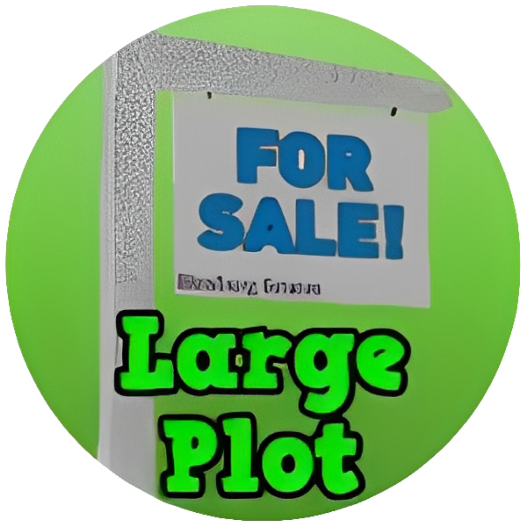 Large Plot