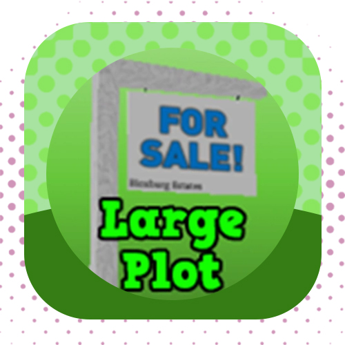 Large Plot